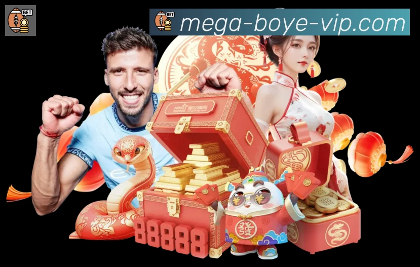 多彩内容专区